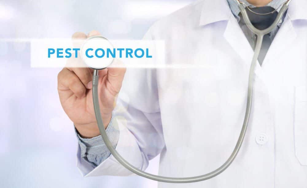 pest control in healthcare facilities