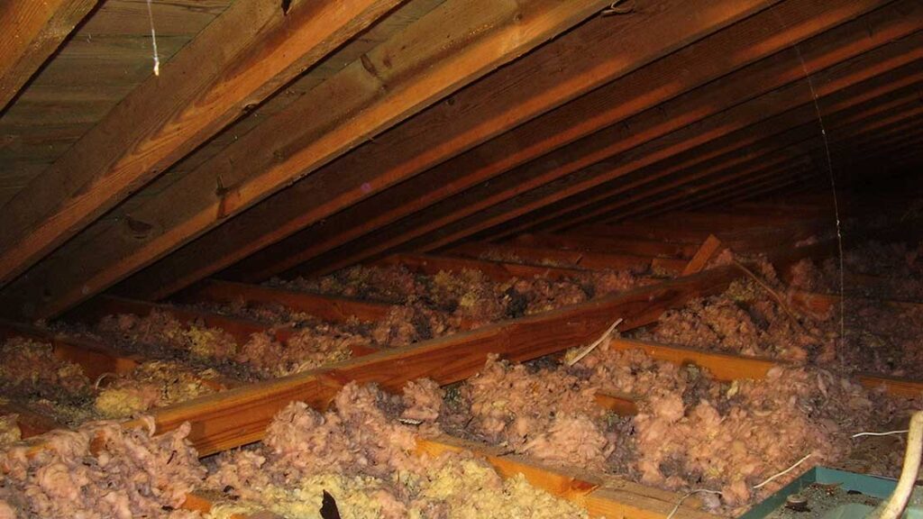 attic termite inspection orange county