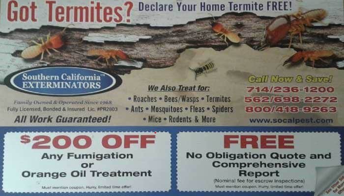 identifying termites orange county
