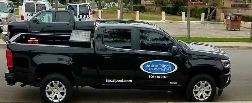 pest control services orange county