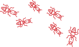 access to superior products