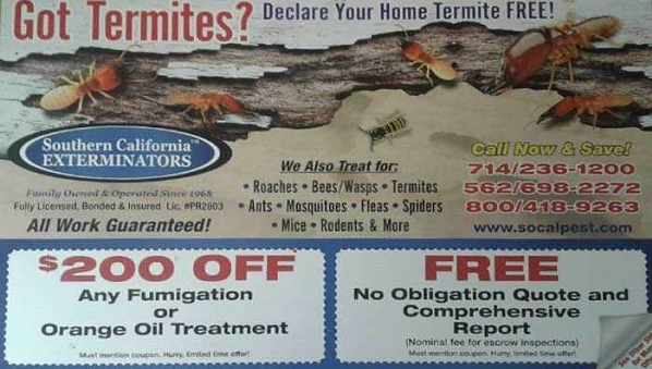 got termites