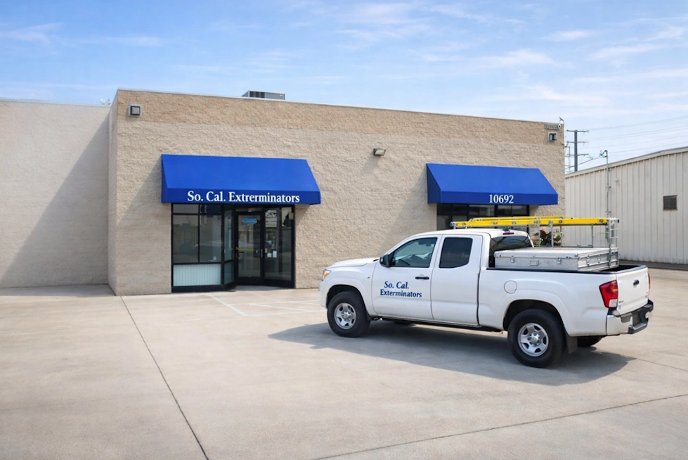 pest control stanton ca exterminator near 90680 anaheim garden grove buena park cypress