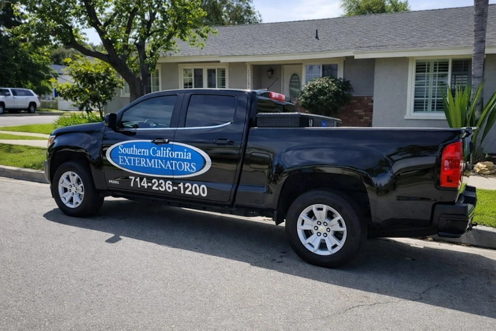 termite control stanton ca inspection 714-236-1200 near 90680 anaheim garden grove buena park